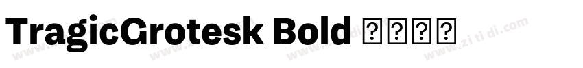 TragicGrotesk Bold 字体转换